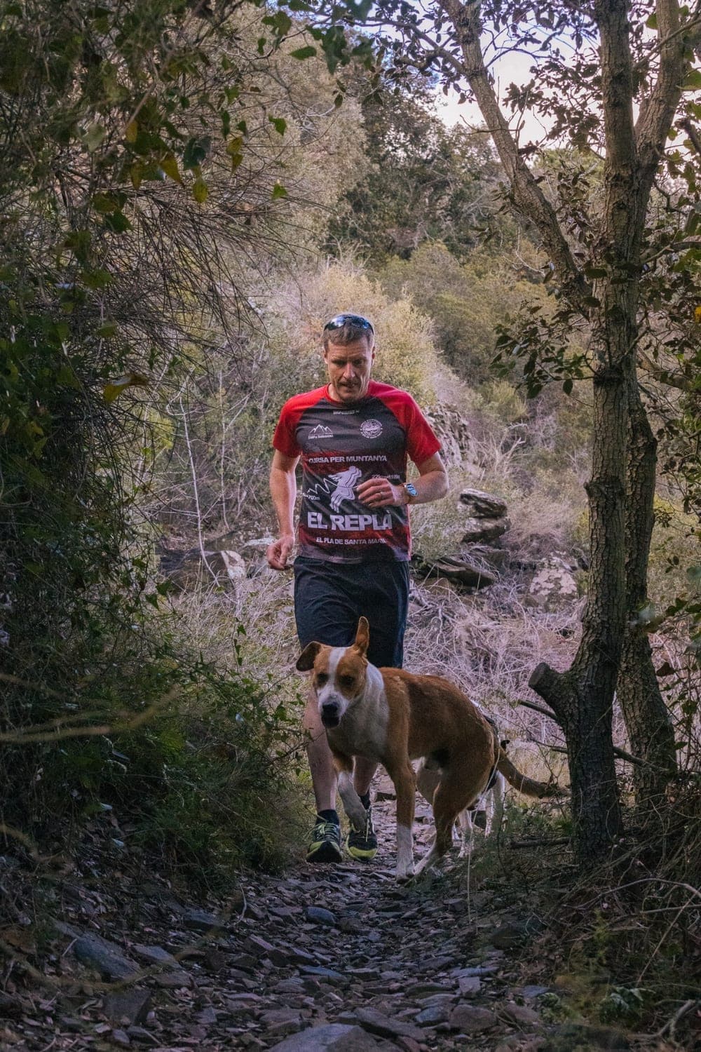 A dog running a wooded trail, just outside the gate.