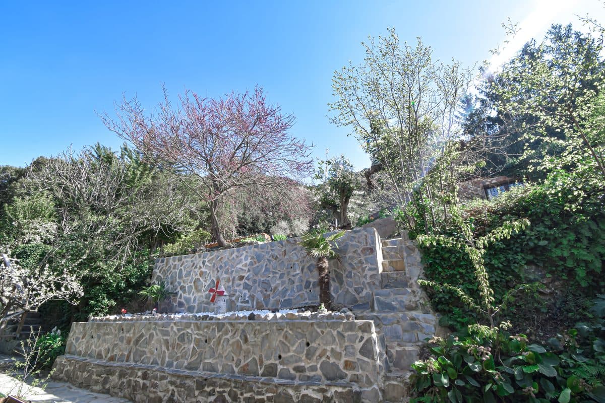 Stone garden terraces in spring, blossom against a blue sky, steps climbing the wall.