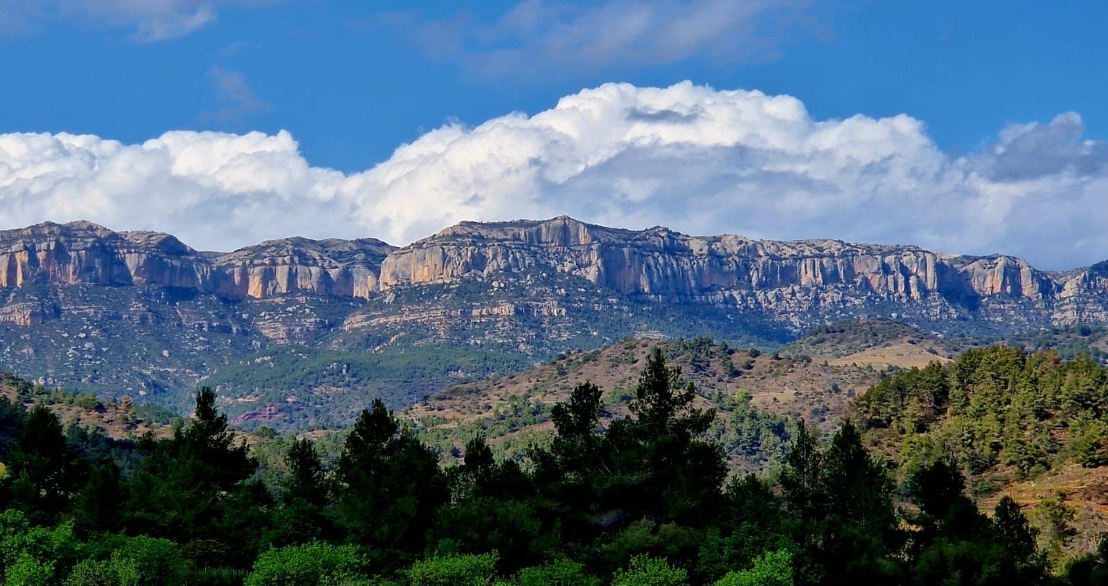 The Montsant escarpment, cliffs and stone ridgelines above the pine forest.