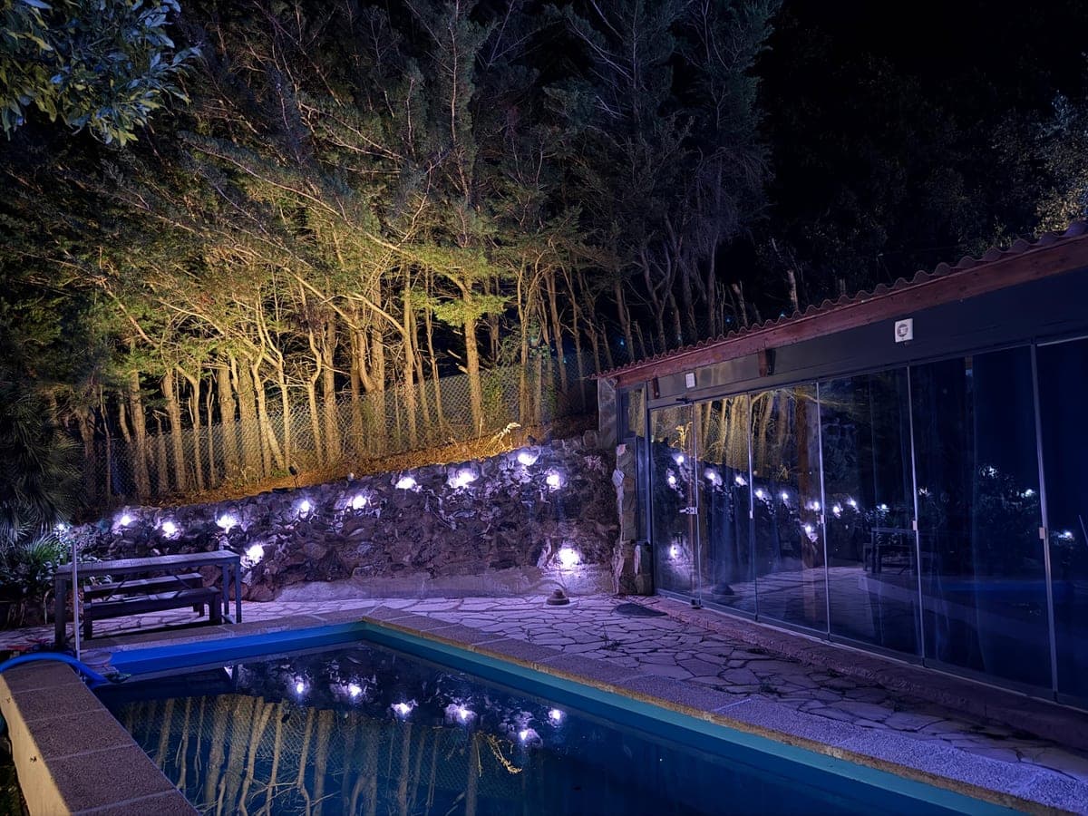 The pool after dark, with lights strung through the trees above it.