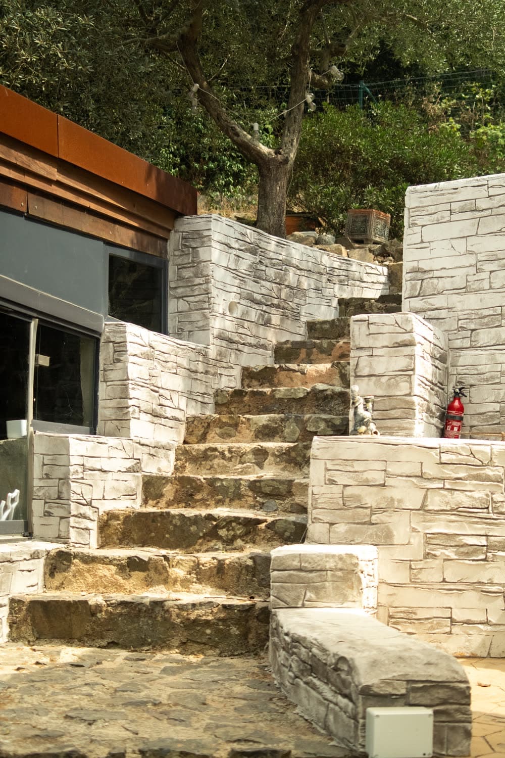 Stone steps climbing between terrace retaining walls, an olive tree above them.