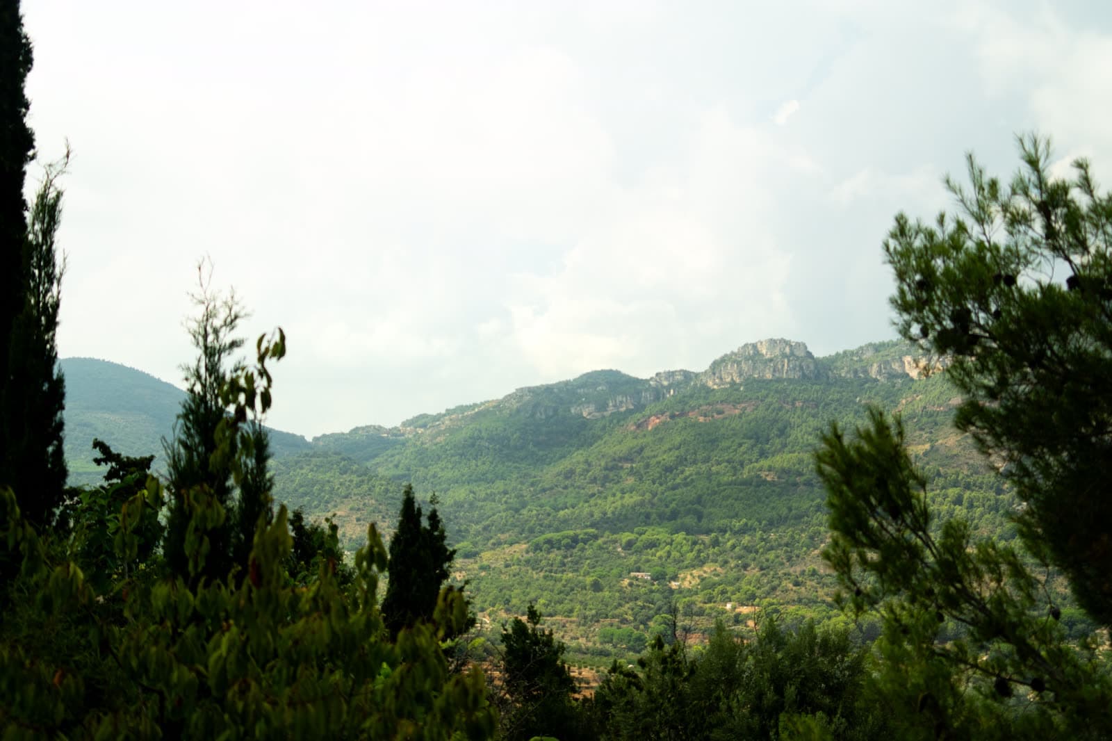 The valley below the finca, looking out over the Muntanyes de Prades.