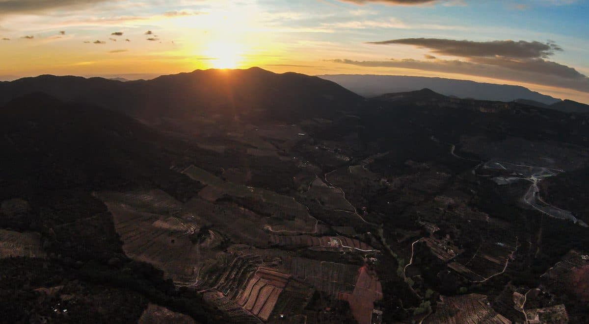 The valley at sunset from the air: terraced vineyards, lanes, and the ridge with the sun behind it.
